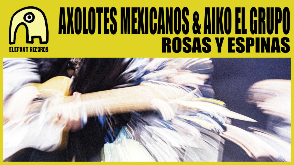 Imagen destacada de video: ROSAS y ESPINAS [Video-Clip]